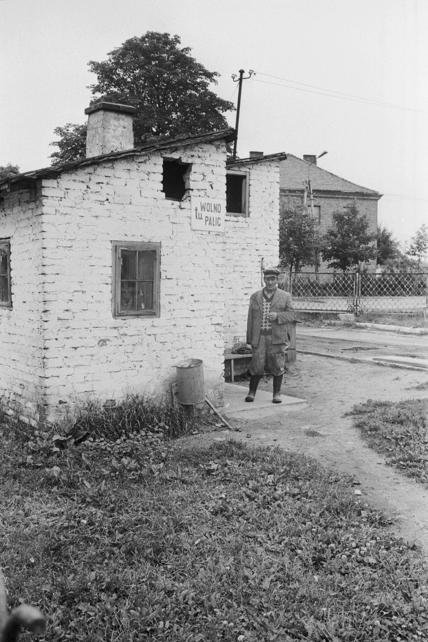 Mazowsze, 1981