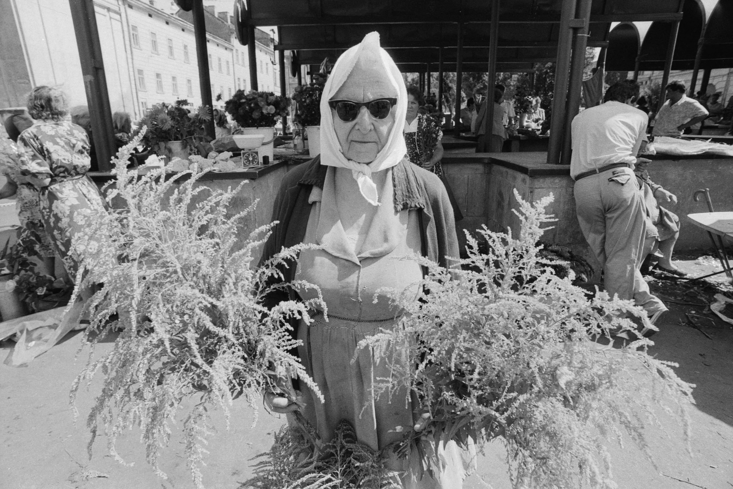 Stryskyj Bazar, Lwów,