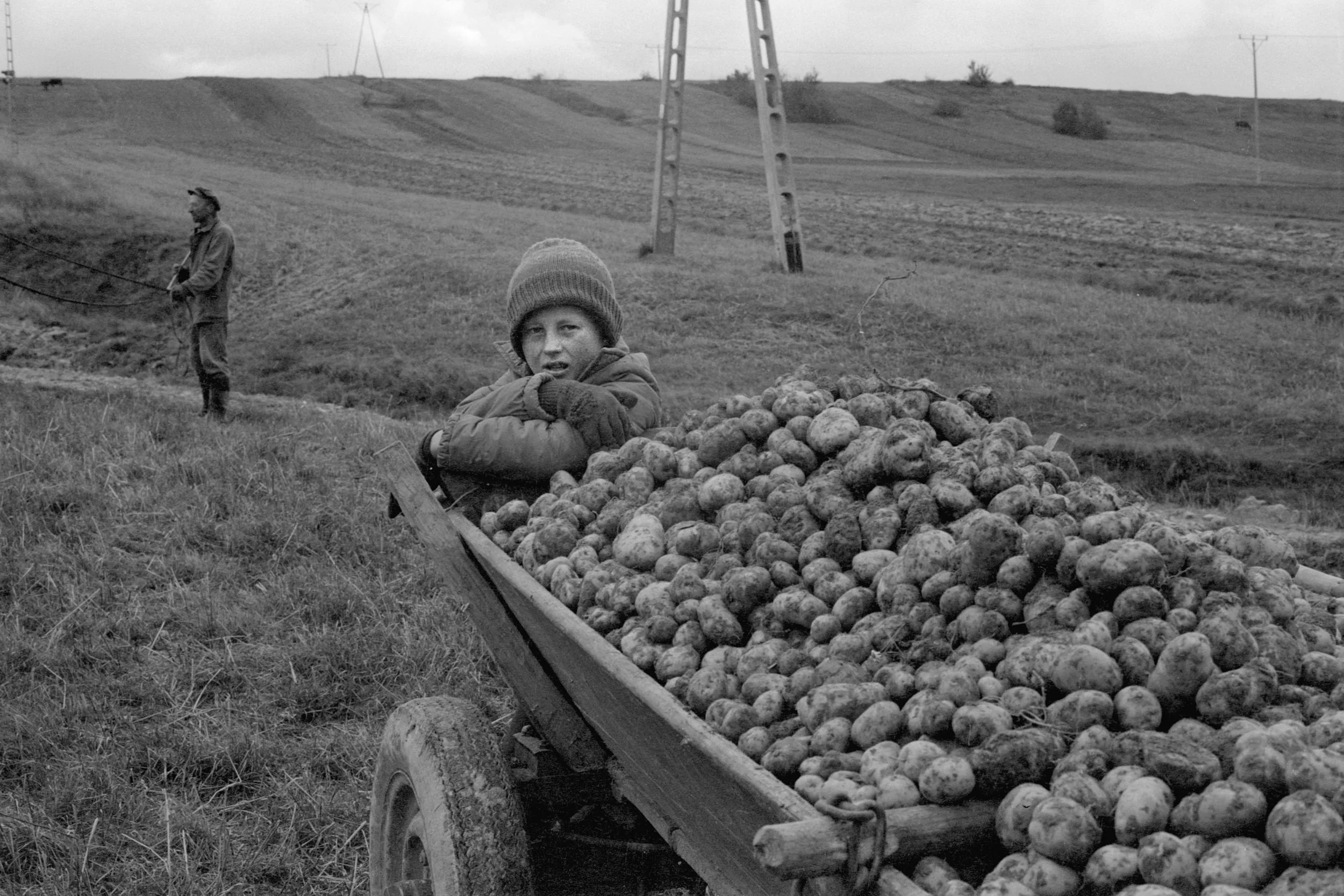 Świętokrzyskie, 1981