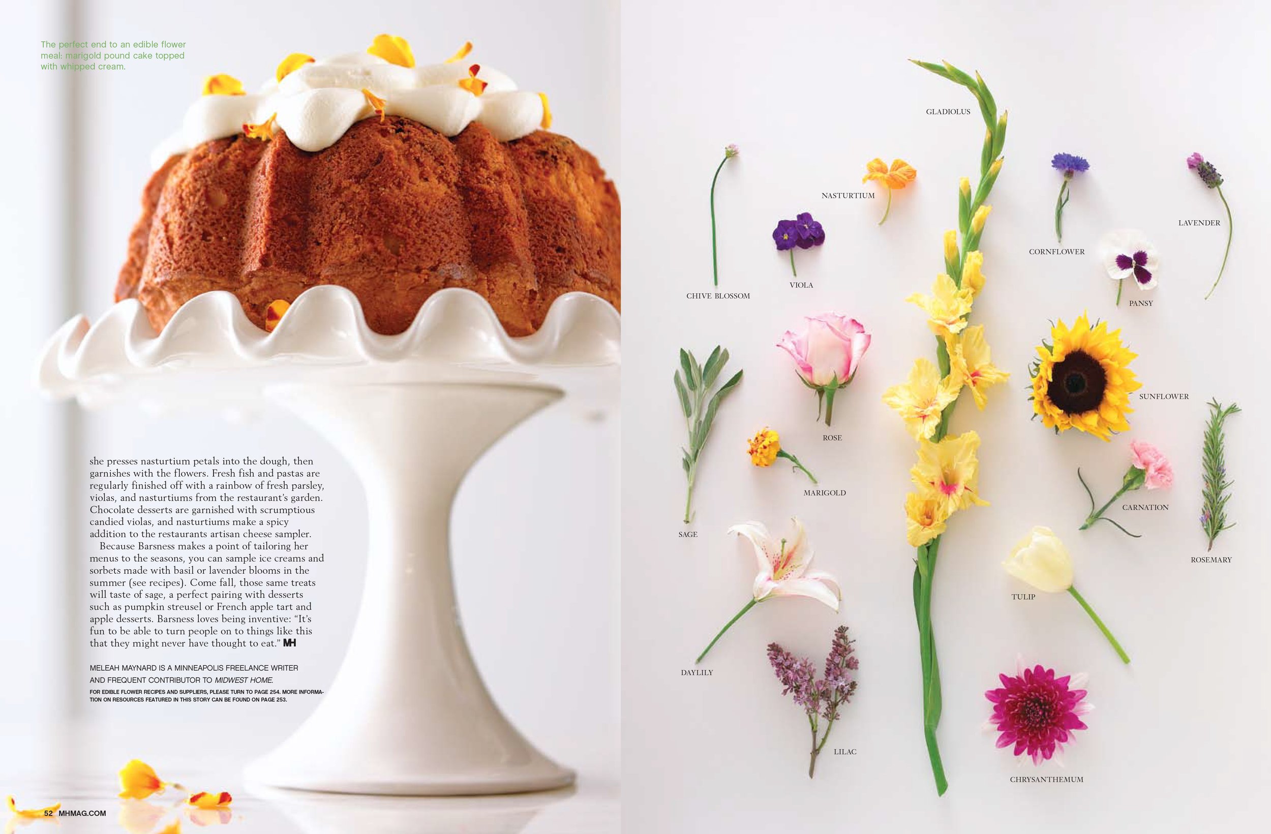 A diagram of various flowers and their names arranged around a large sunflowers and small flowers, with a picture of a marigold pound cake topped with whipped cream on a white cake stand to the left.