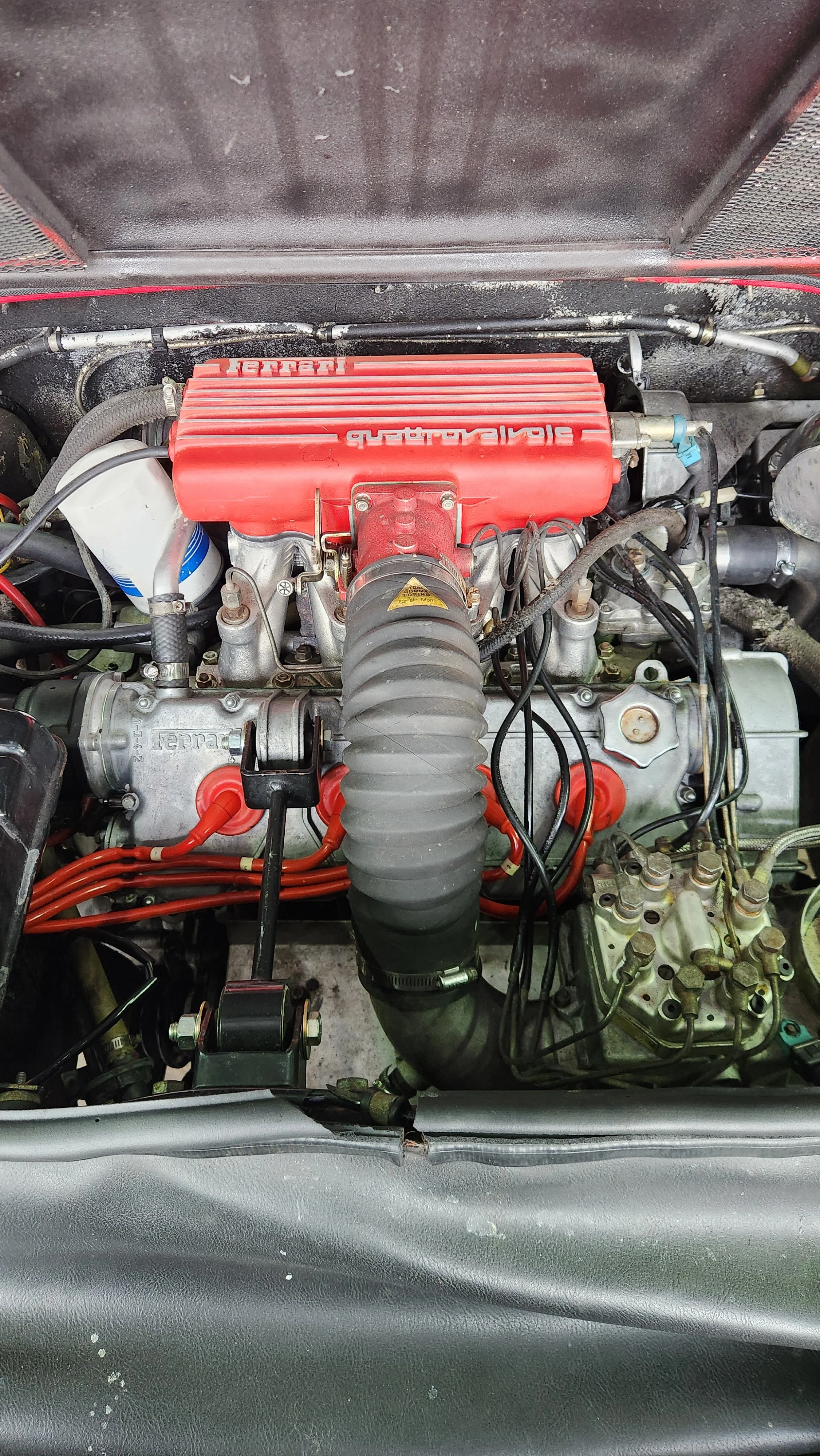 The image shows an engine bay with a Ferrari 308 engine, identifiable by the red valve cover with the Ferrari logo, various hoses, wires, and engine components.
