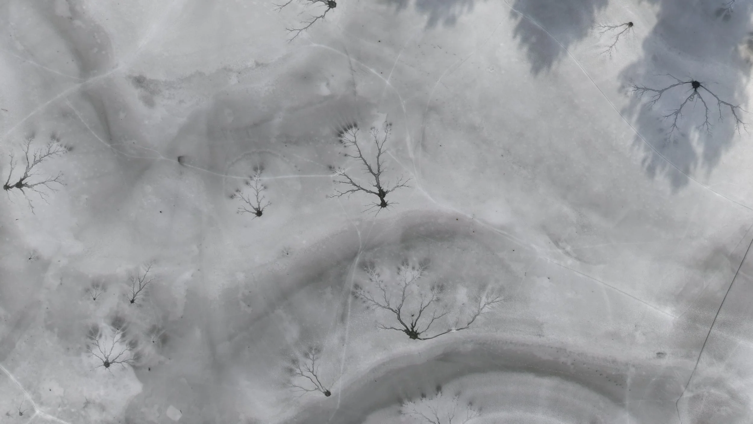 DJI_20260221145733_0030_D.JPG