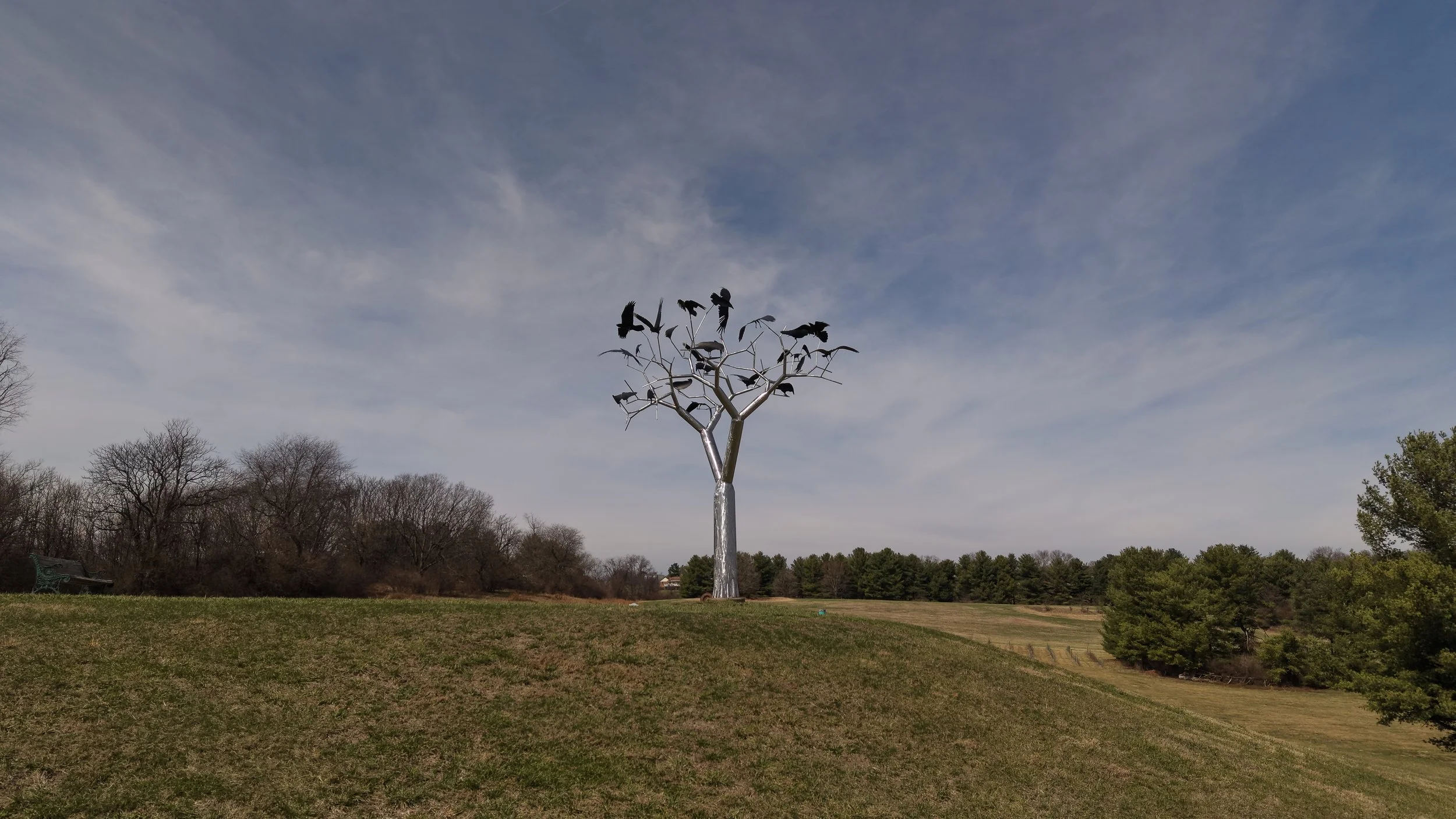 DJI_20260320125121_0013_D.JPG