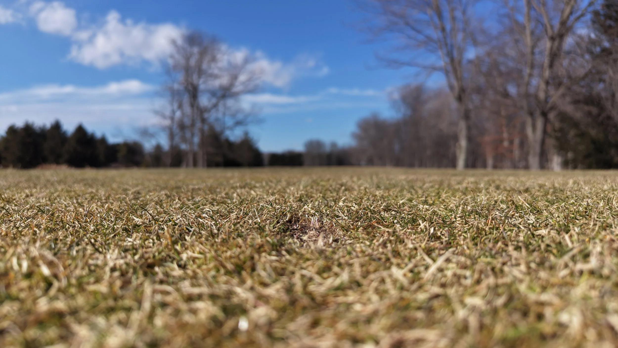 DJI_20260221142956_0017_D.JPG