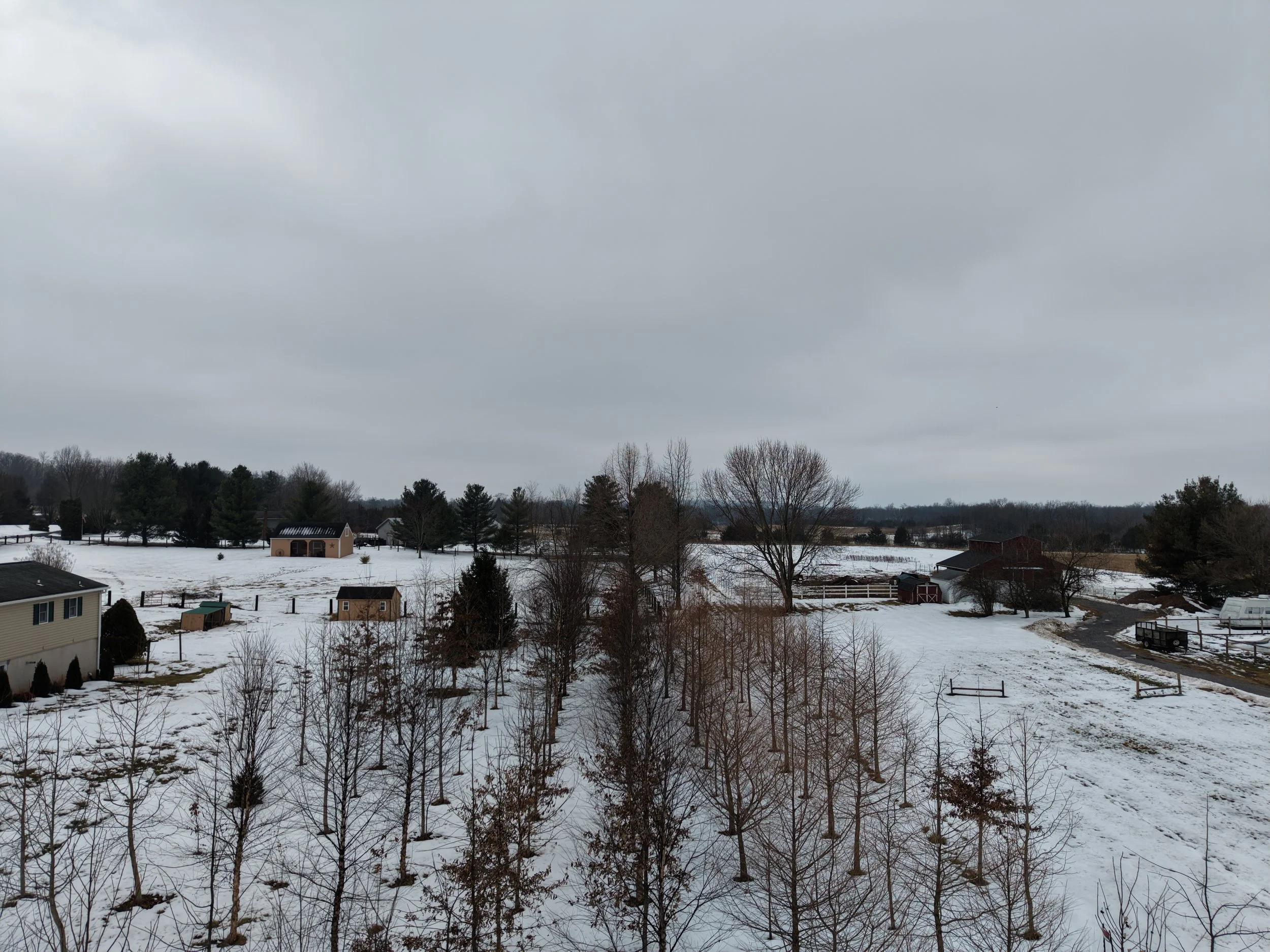 dji_fly_20260216_110652_0003_1771258909748_photo.jpg
