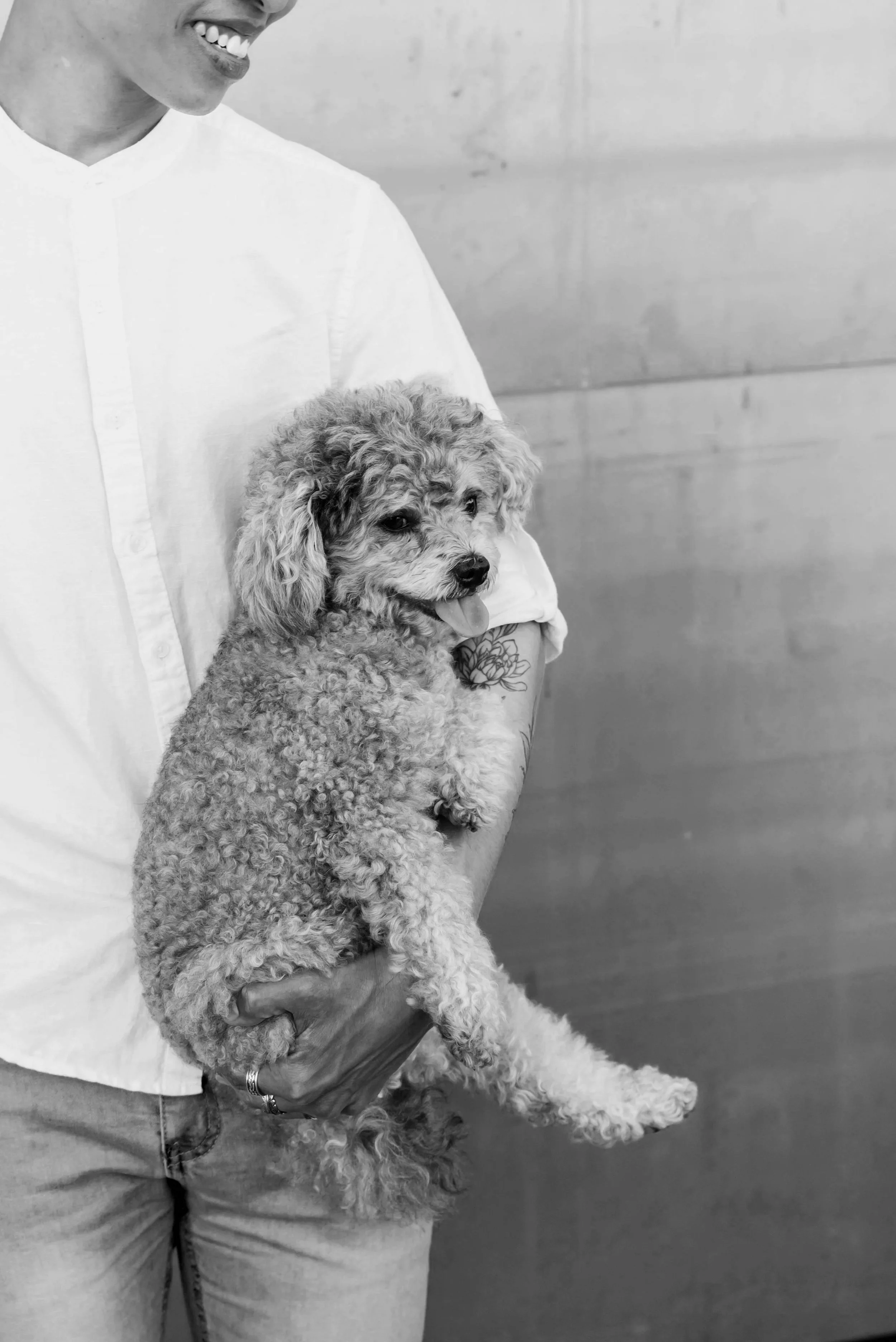 Person holding a curly-haired dog for Swaggy Poodle pet lifestyle and dog apparel branding