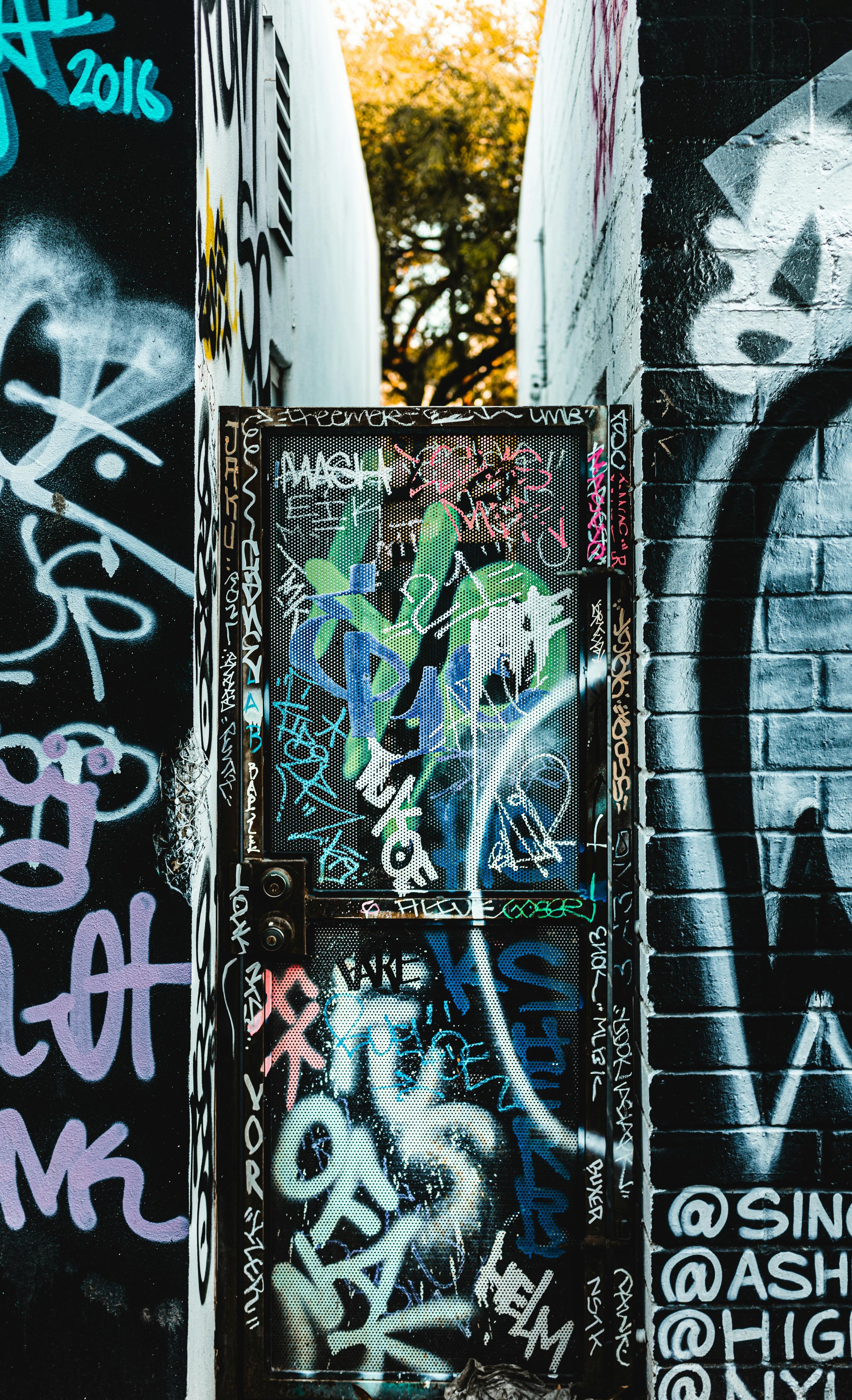 A metal door covered in multicolored graffiti and tags, flanked by walls also adorned with graffiti. The door has a lock and is set between a painted brick wall and a wall with murals, with trees visible in the background.