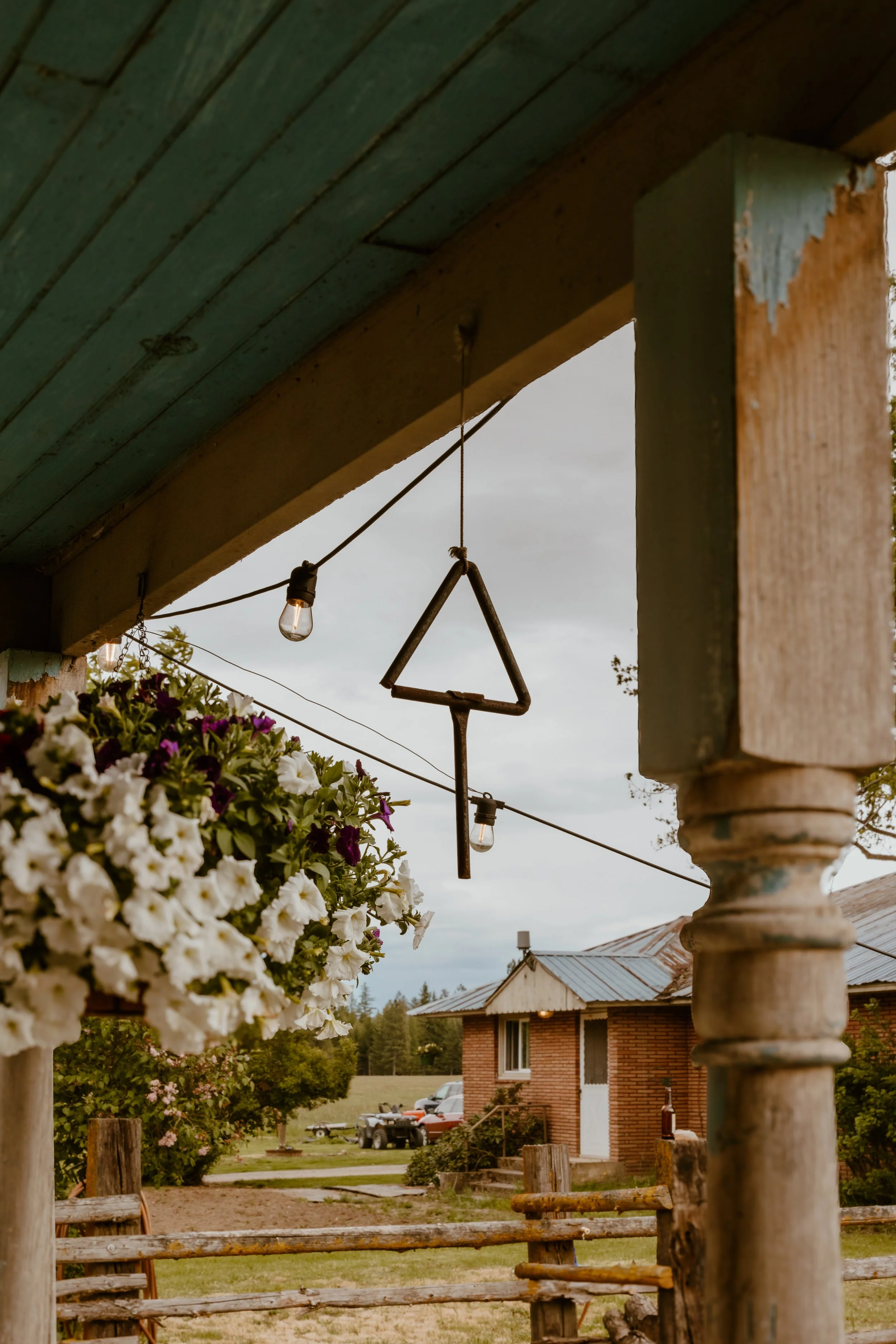 View of a porch with hanging string lights, overgrown with hanging flowers, with a background of a brick house, trees, and a field.