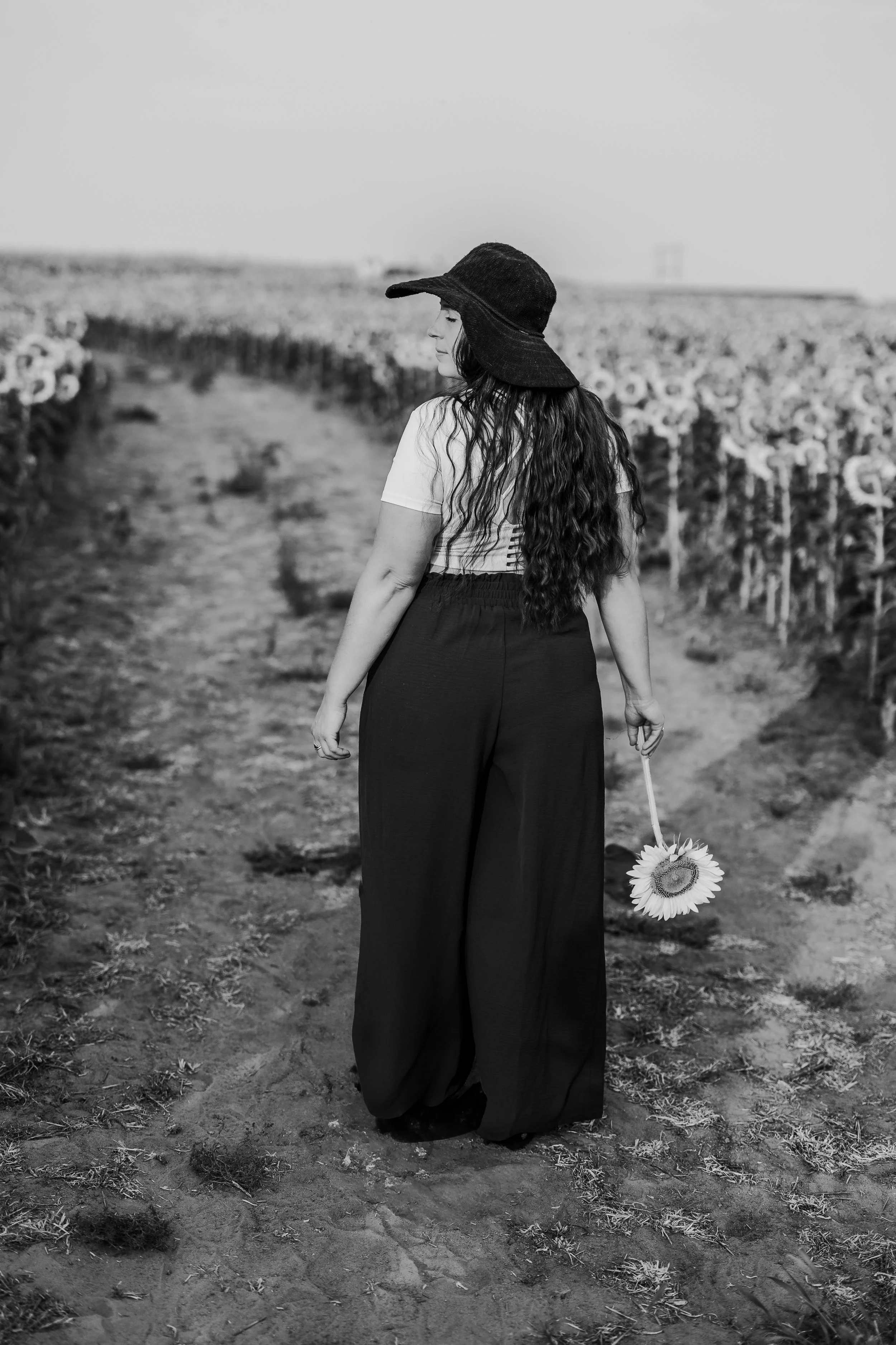 A woman with long, curly hair walking through a sunflower field, holding a sunflower in her right hand, wearing a hat, white top, and wide-legged pants in black and white.