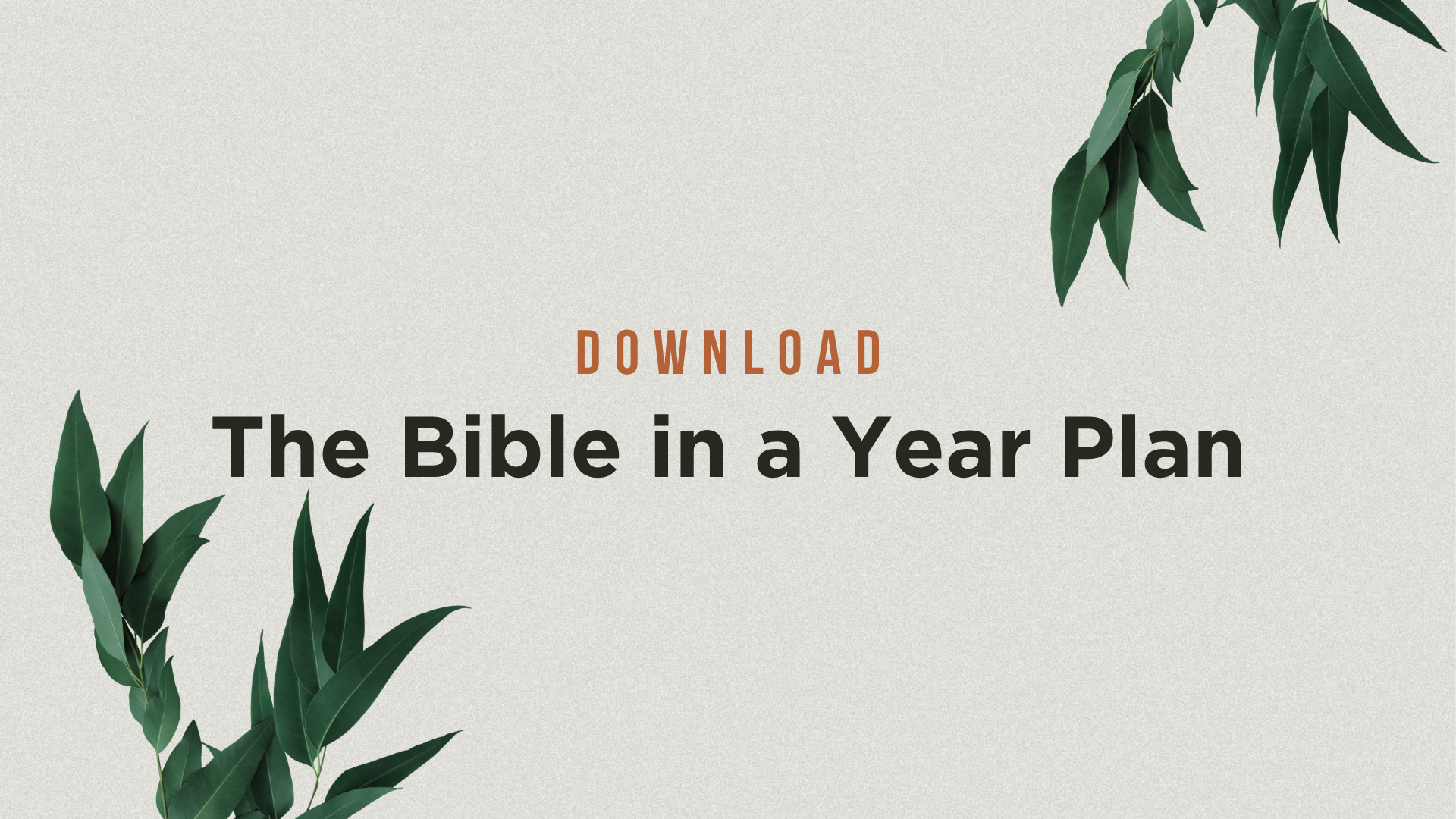 Read Through the Bible in a Year Plan
