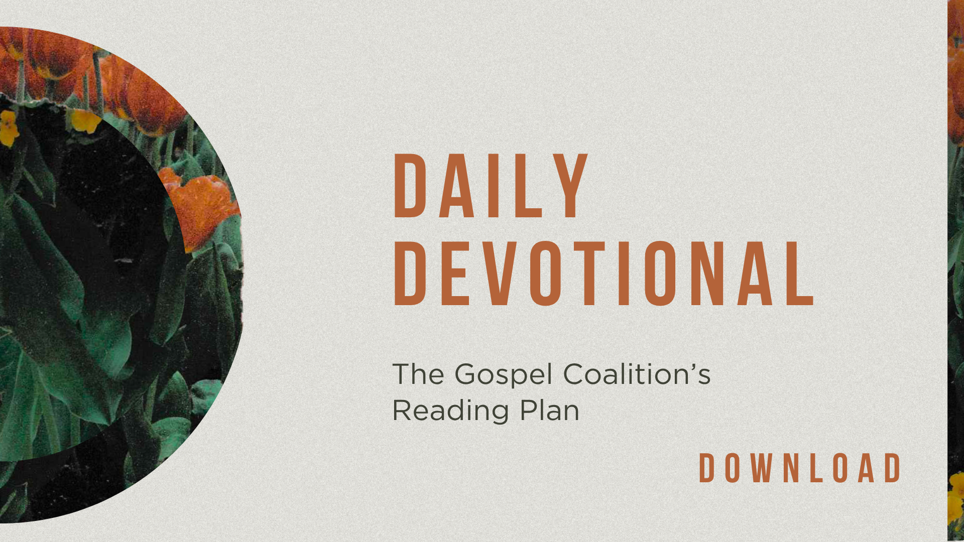 a daily devotional reading plan