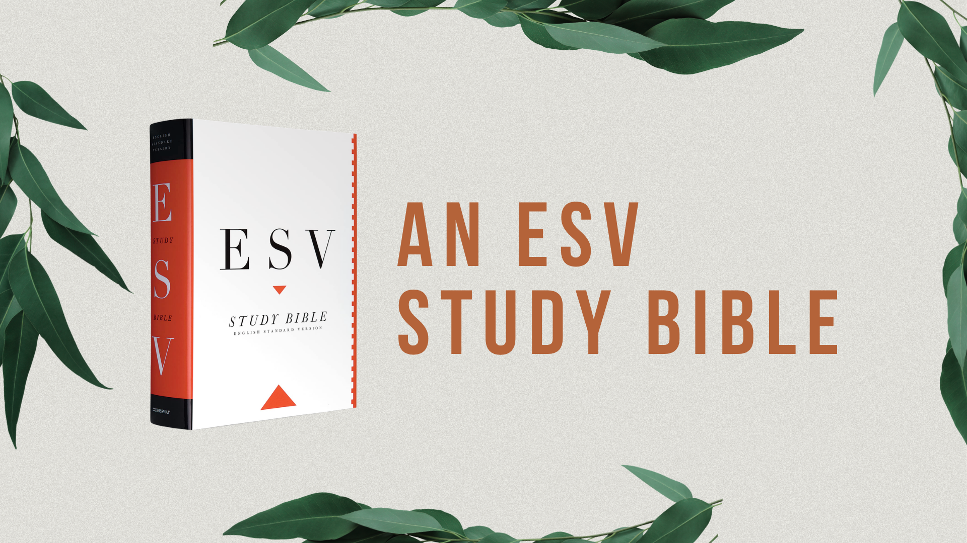 an ESV Bible study book