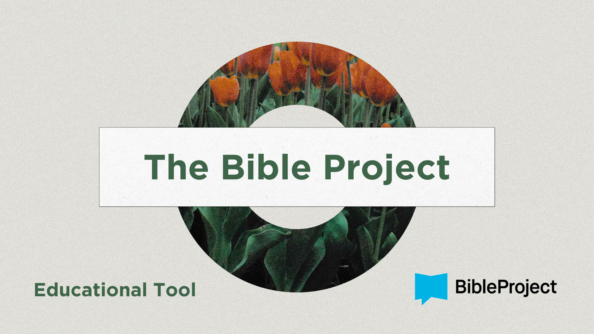 The bible project