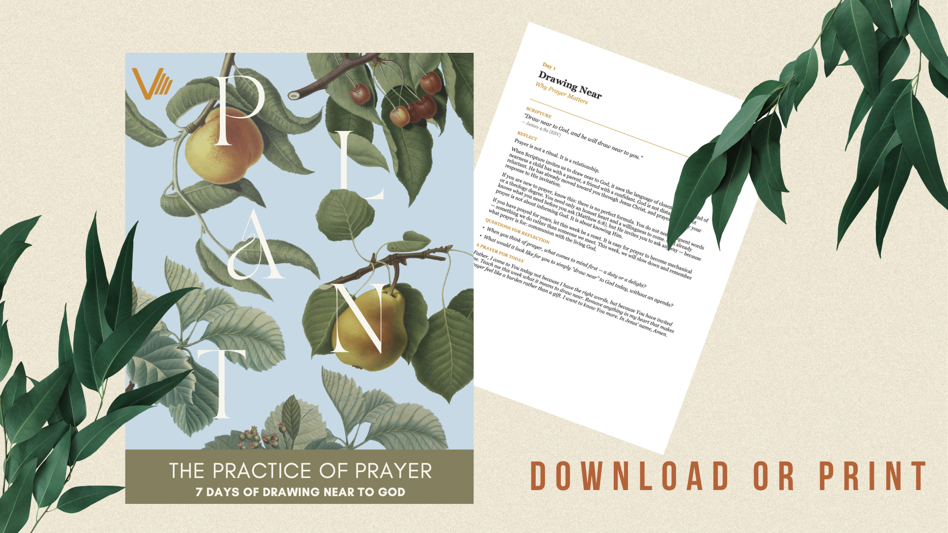 PLANT - 7 Days of prayer