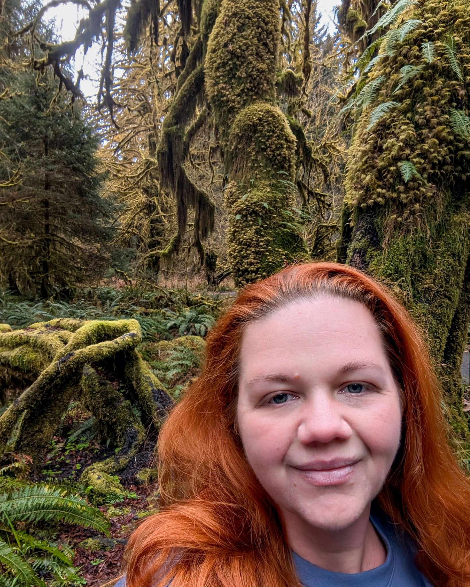 Elizabeth standing among towering moss-covered trees in the Hoh Rainforest, Olympic National Park, during a solo trip to experience the ancient forest.