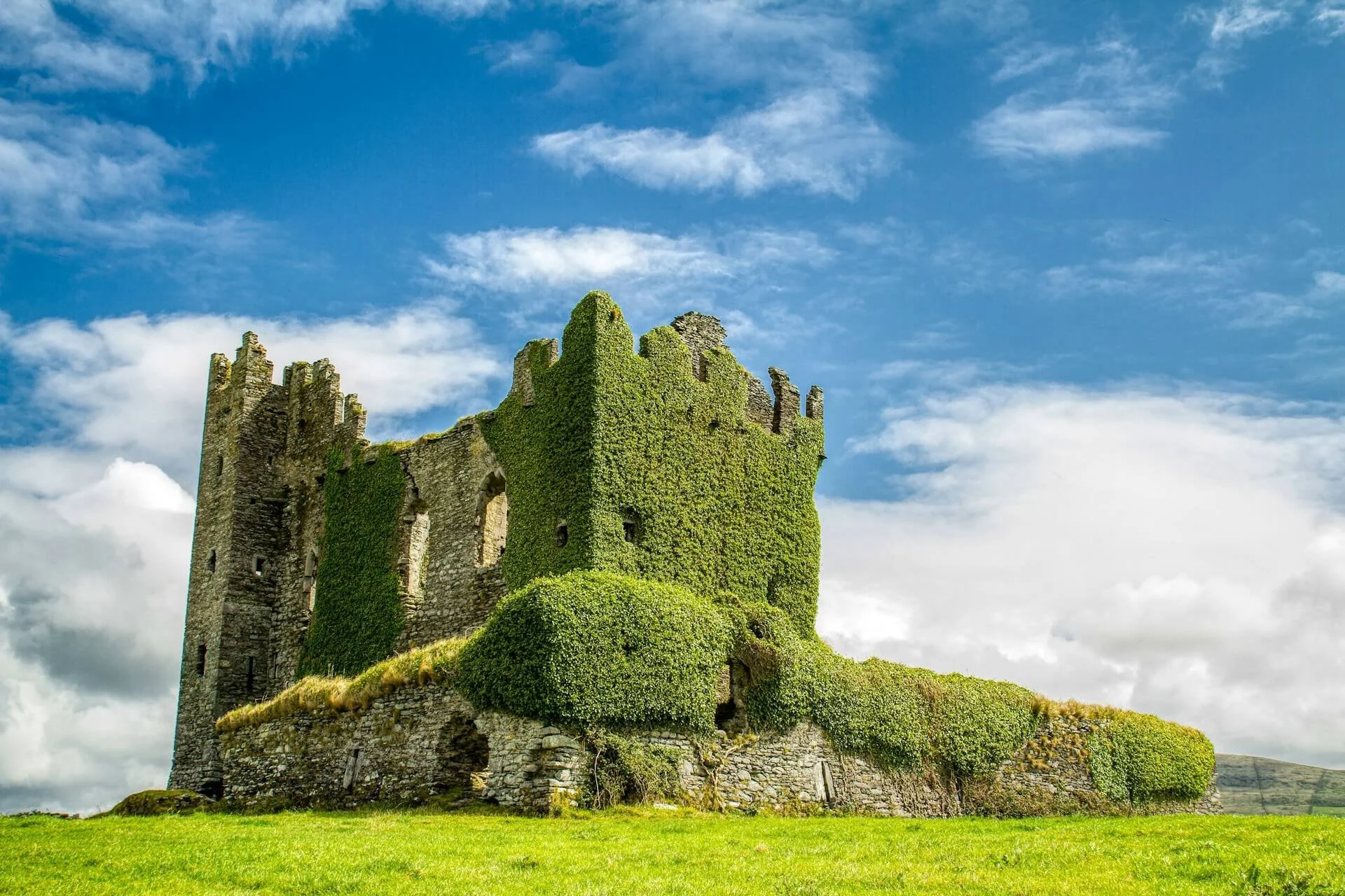 Ancient stone castle ruin covered in green ivy, set against a bright blue sky with scattered clouds, surrounded by green grass.