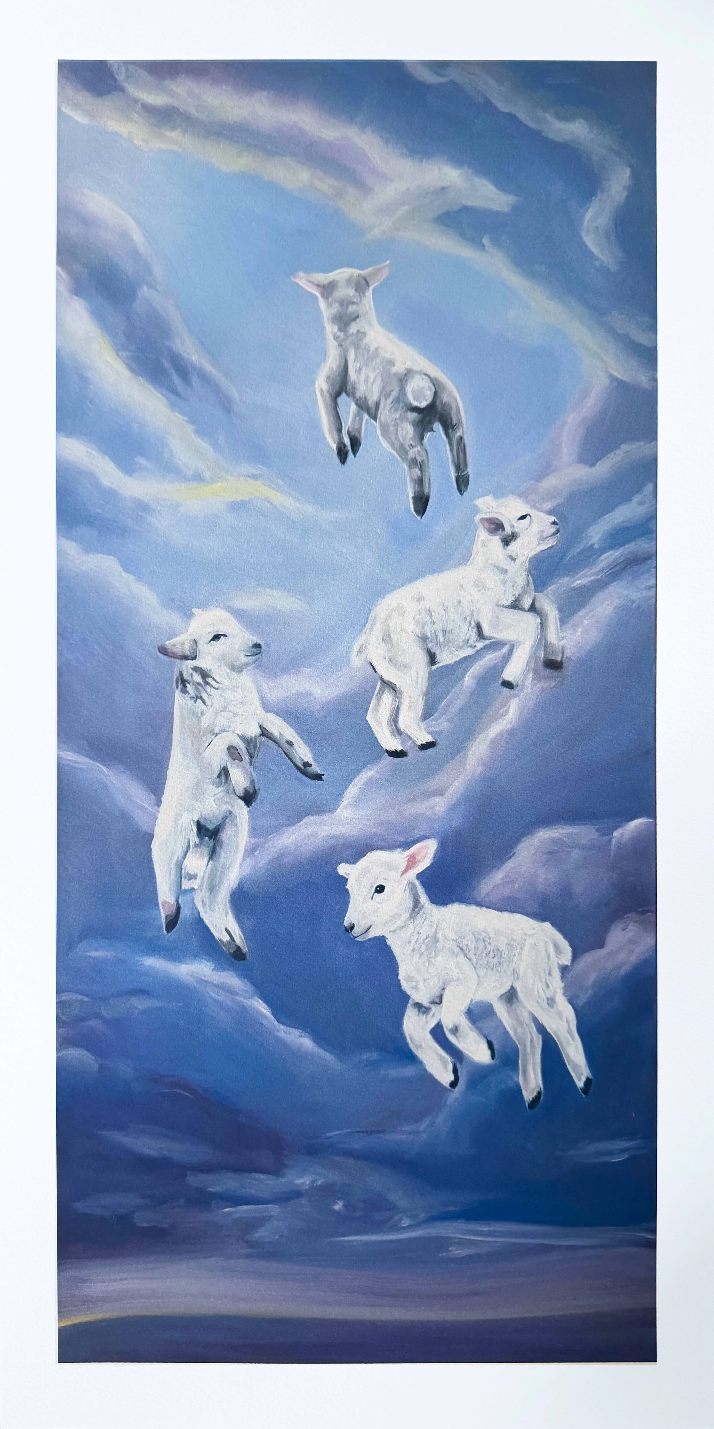 Counting sheep | Lambs Fine Art Print