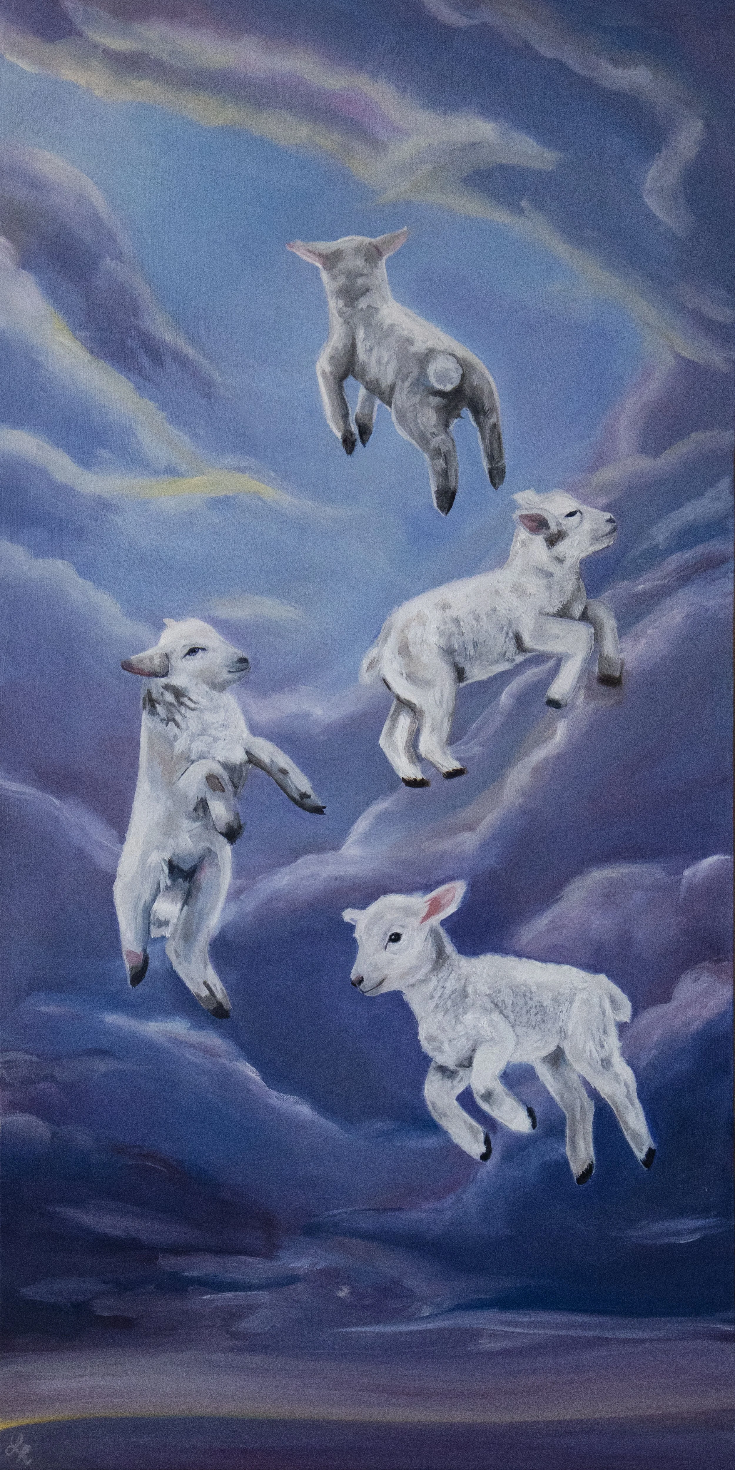 Sheep.jpg