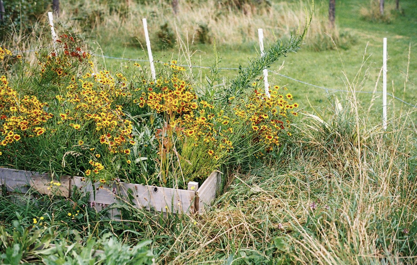 Screenshot 2026-02-24 at 13.13.42.png