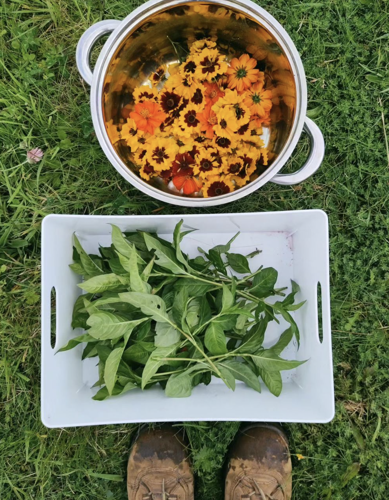 Screenshot 2024-02-04 at 17.37.48.png