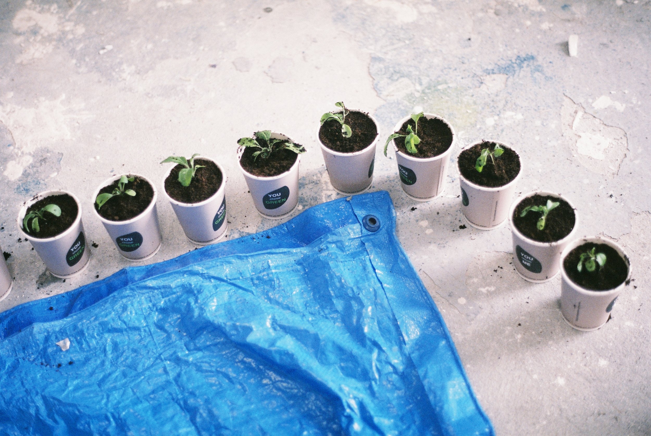 A001742-R1-17-19 copy.JPG