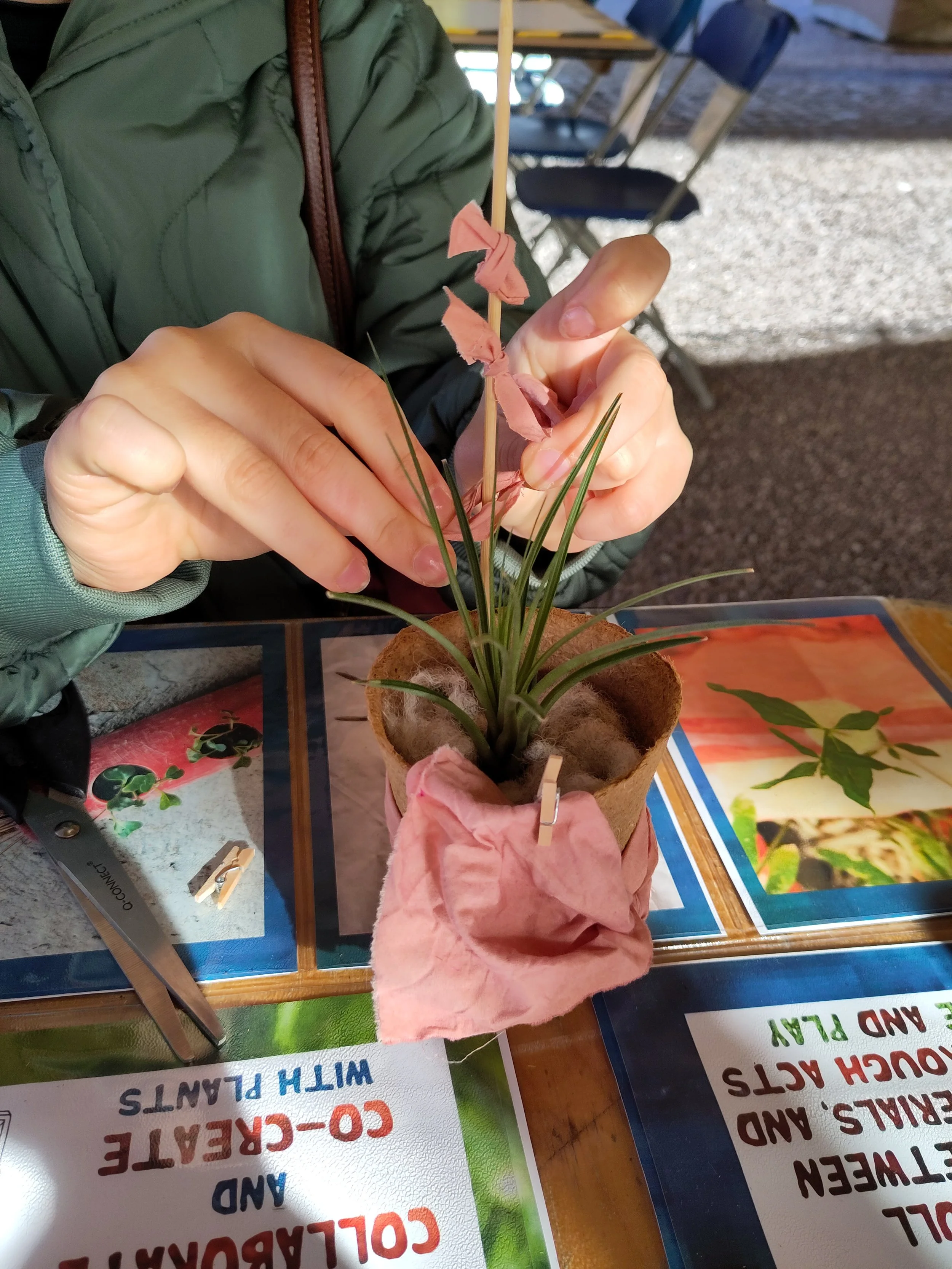 IMG_20221022_133649 (1).jpg