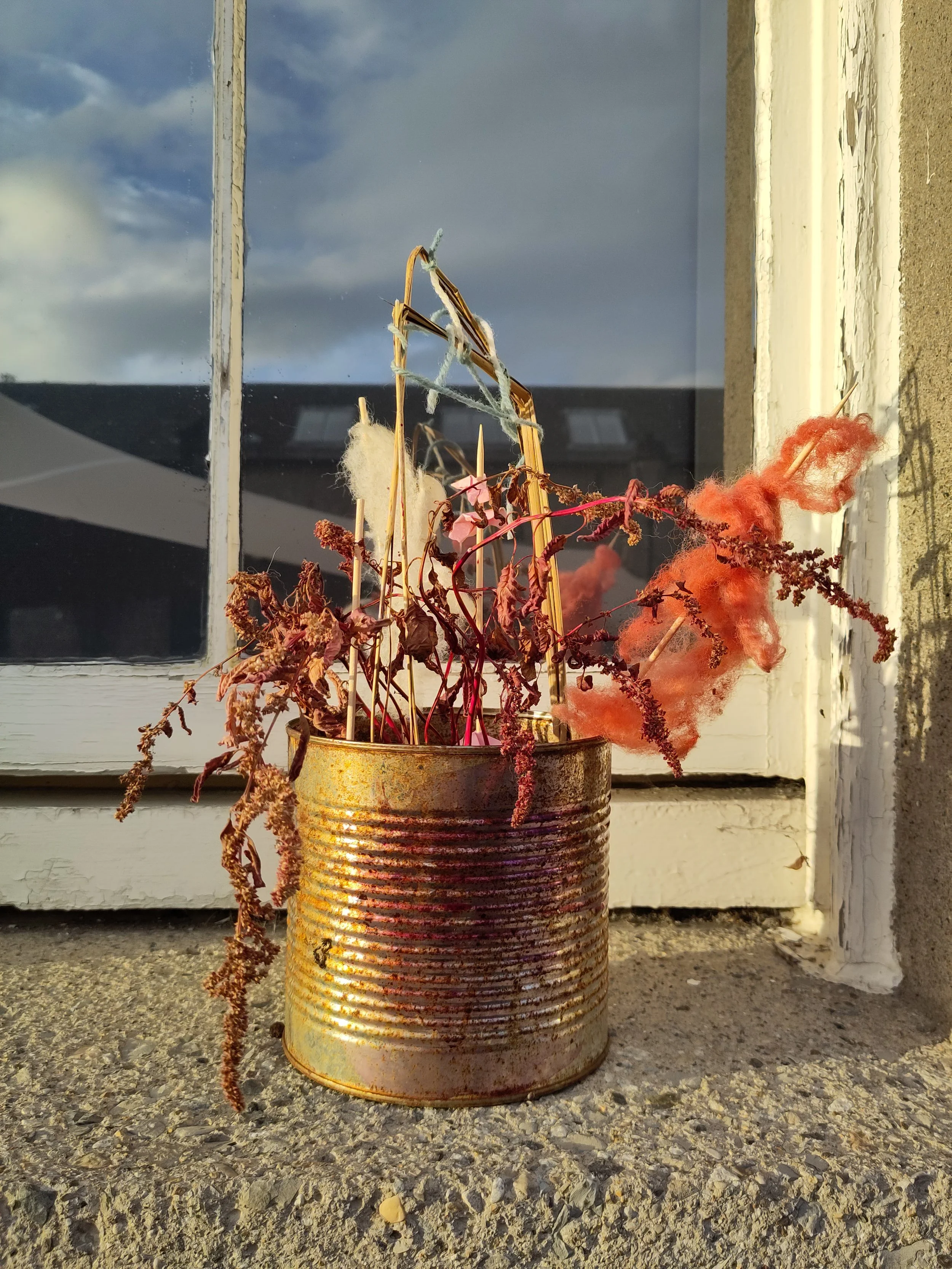 IMG_20221022_172457 (1).jpg