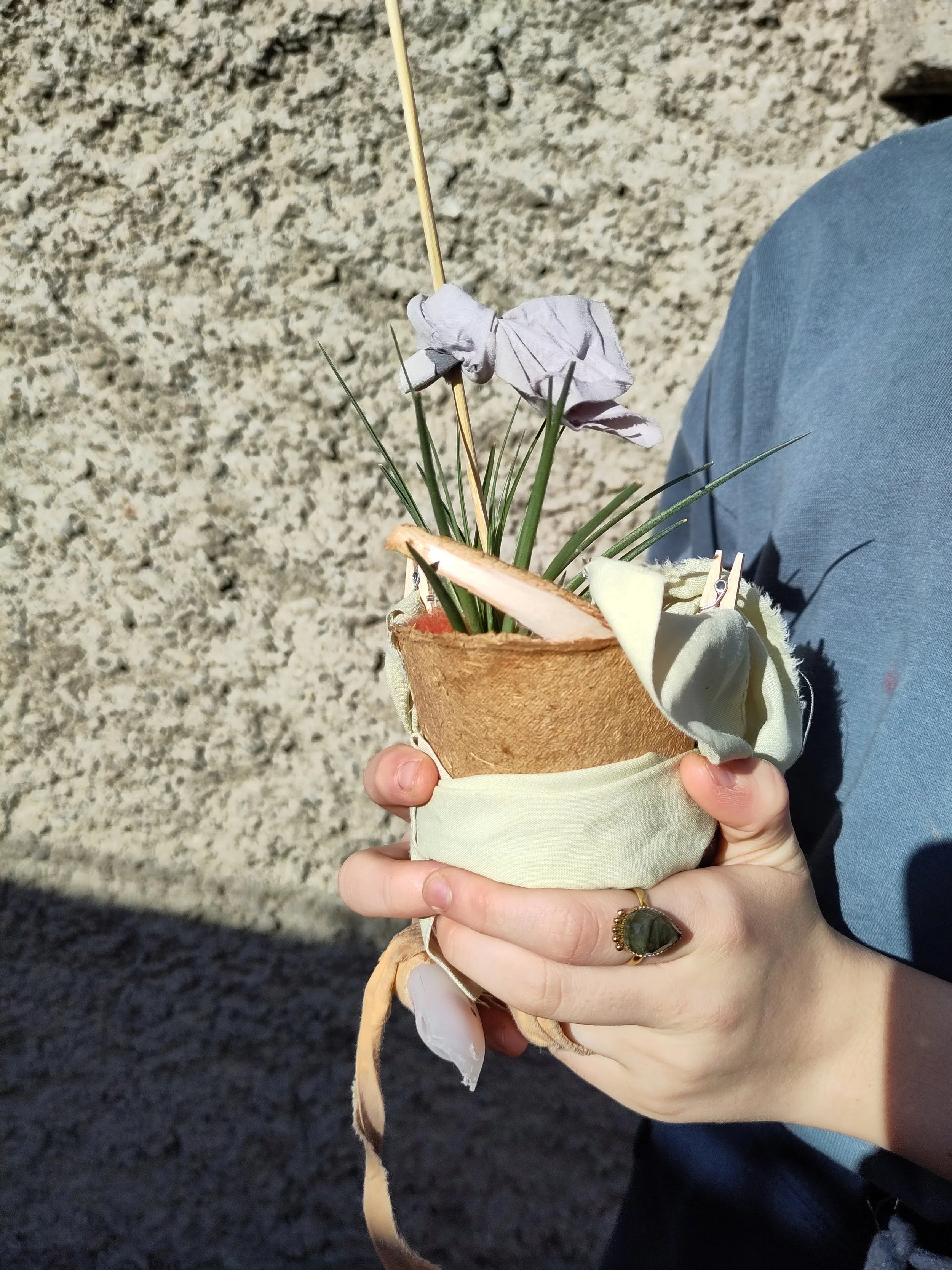 Co-Creating with Plants