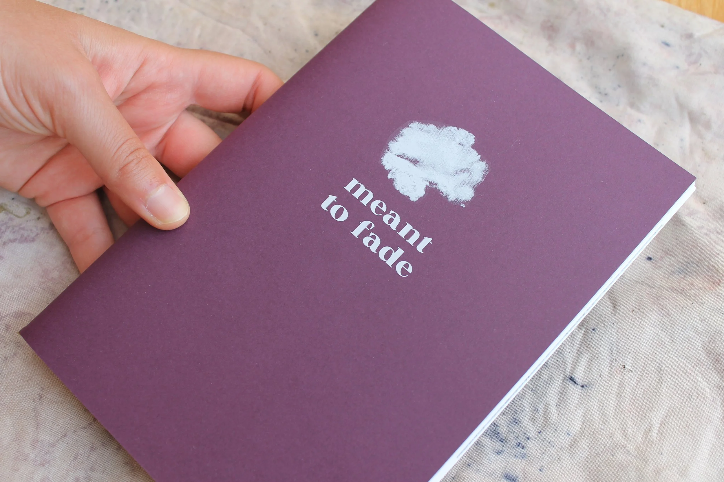 Meant to Fade (the book)