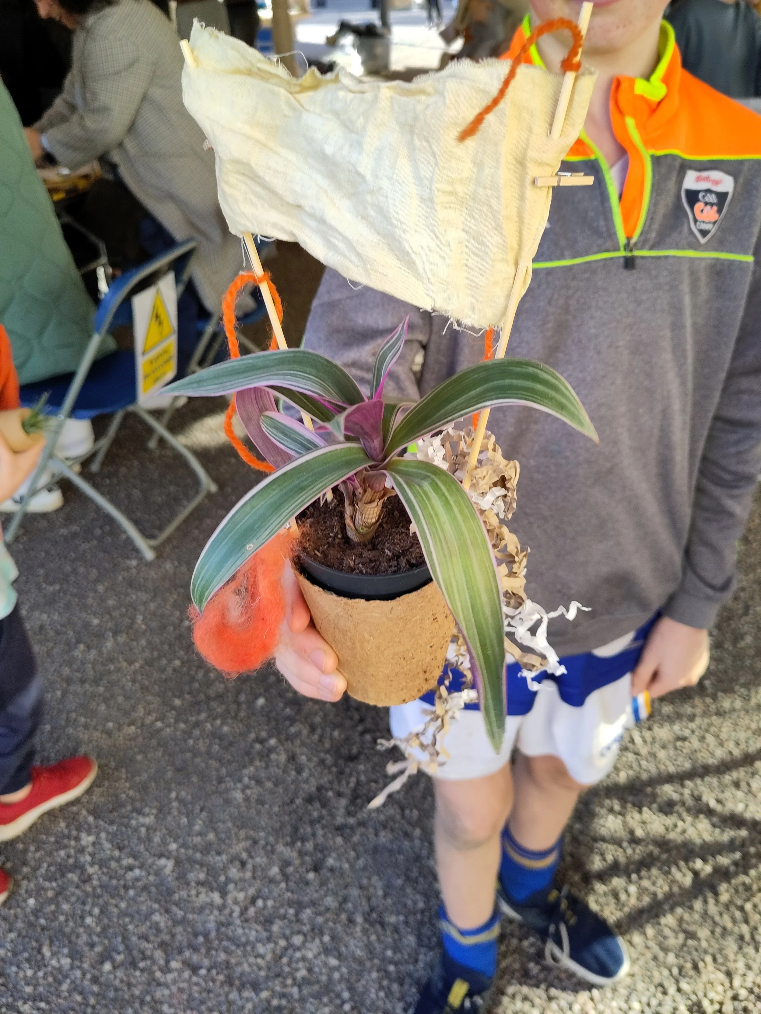 IMG_20221022_142333 (1).jpg