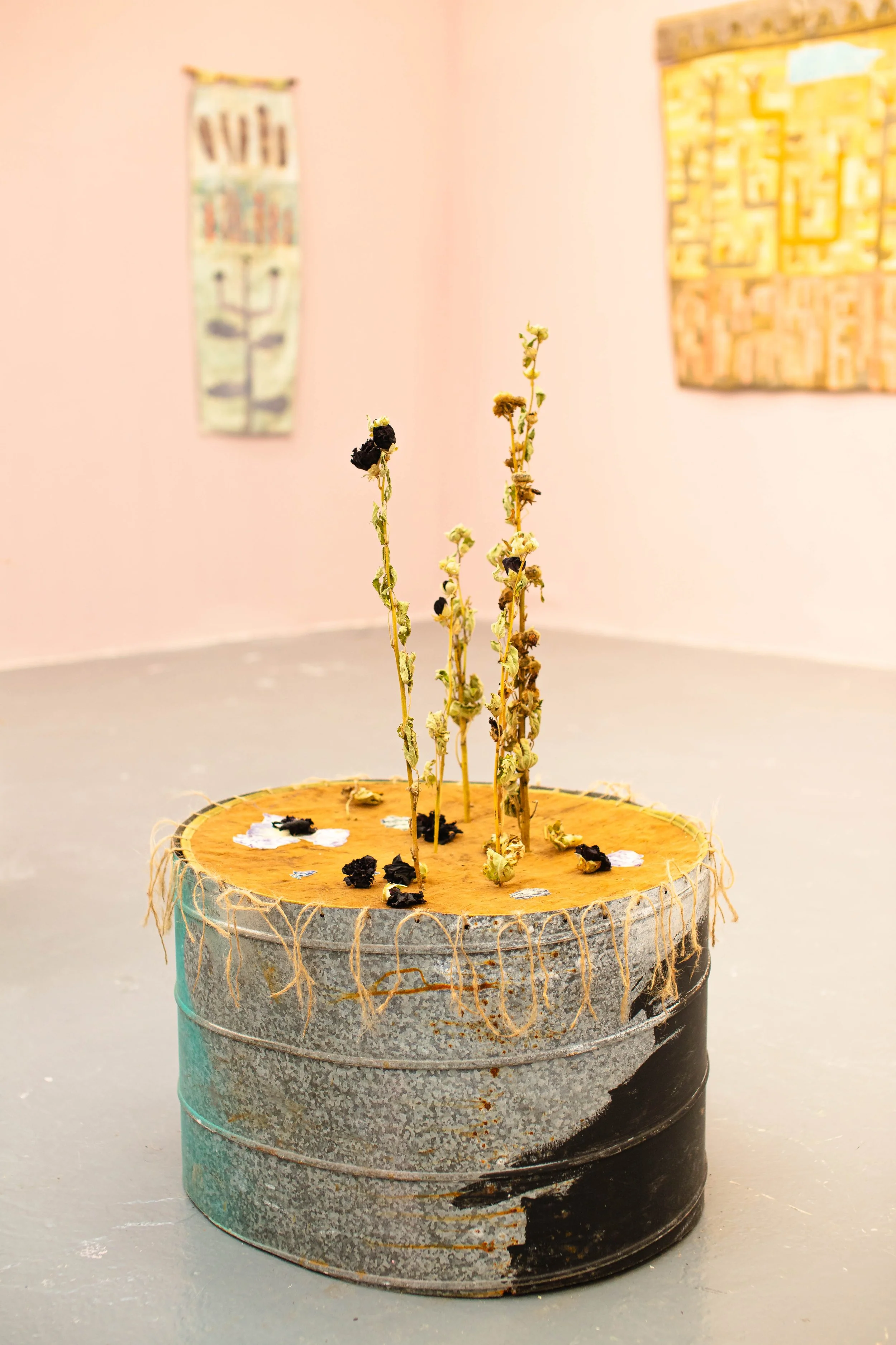 Katerina Gribkoff_Drum IV_ Sculpture with dried plants_0.6mx0.6mx1m_2025.jpg