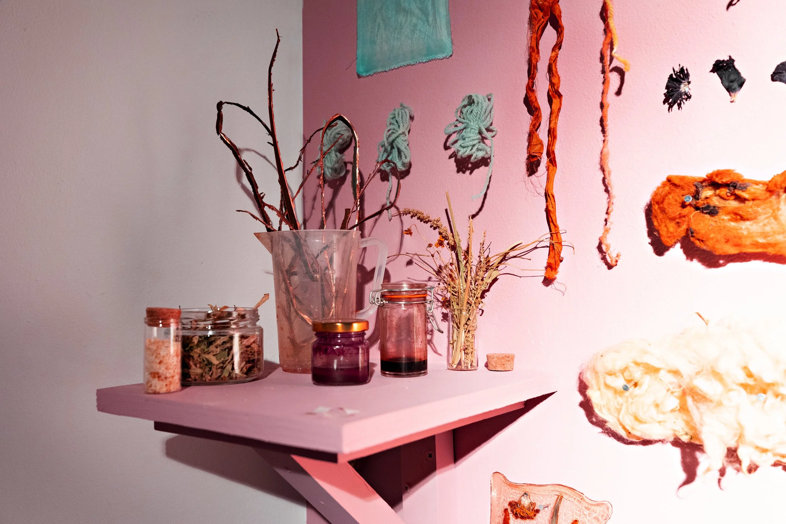 What the Plants Know