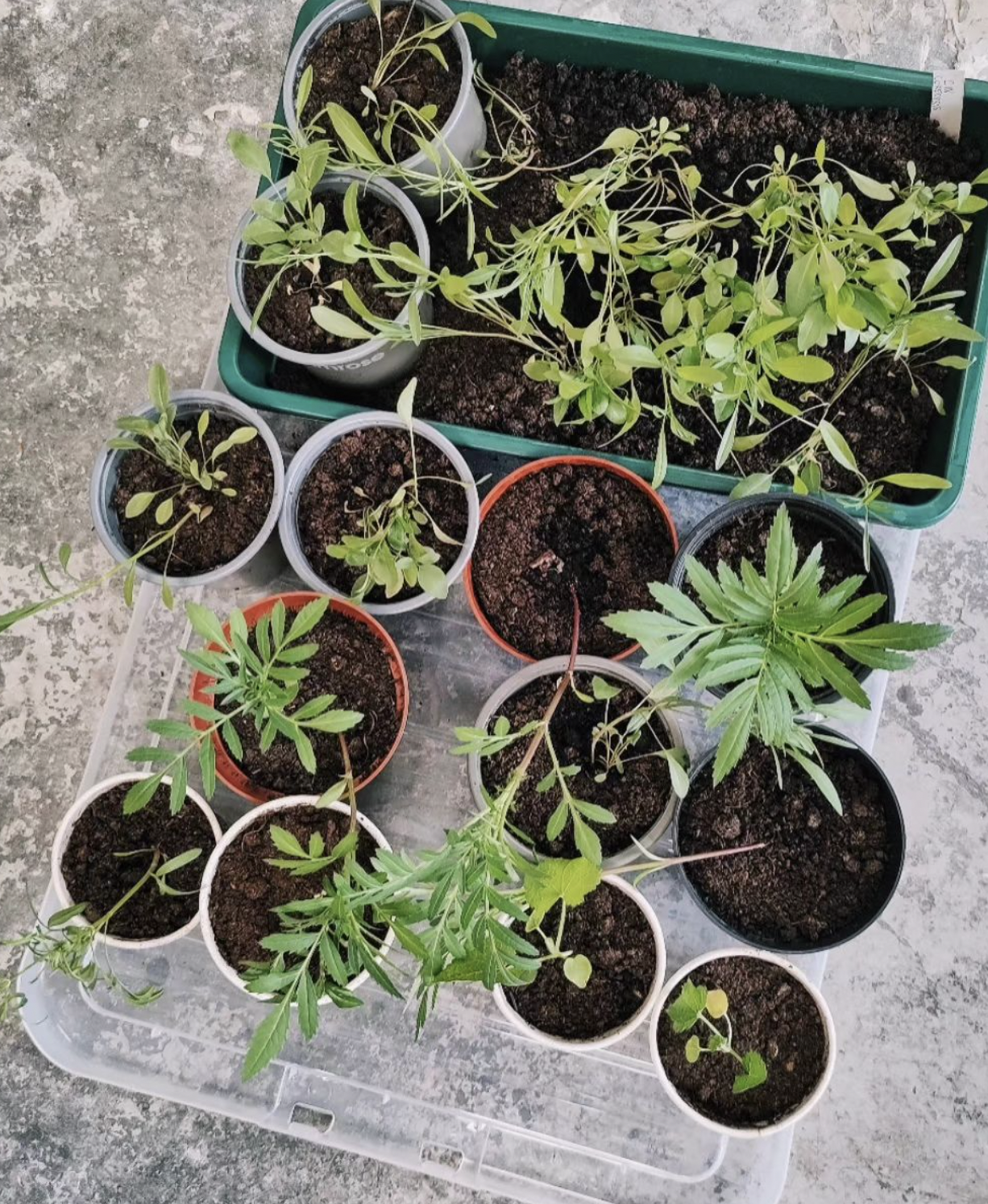 Screenshot 2024-04-08 at 16.36.01.png