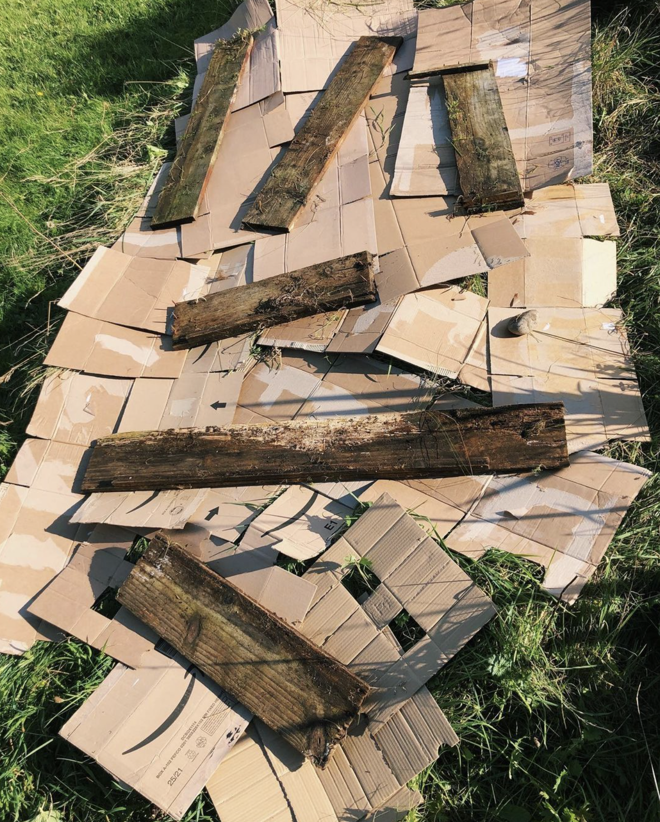 Screenshot 2024-12-05 at 08.12.03.png