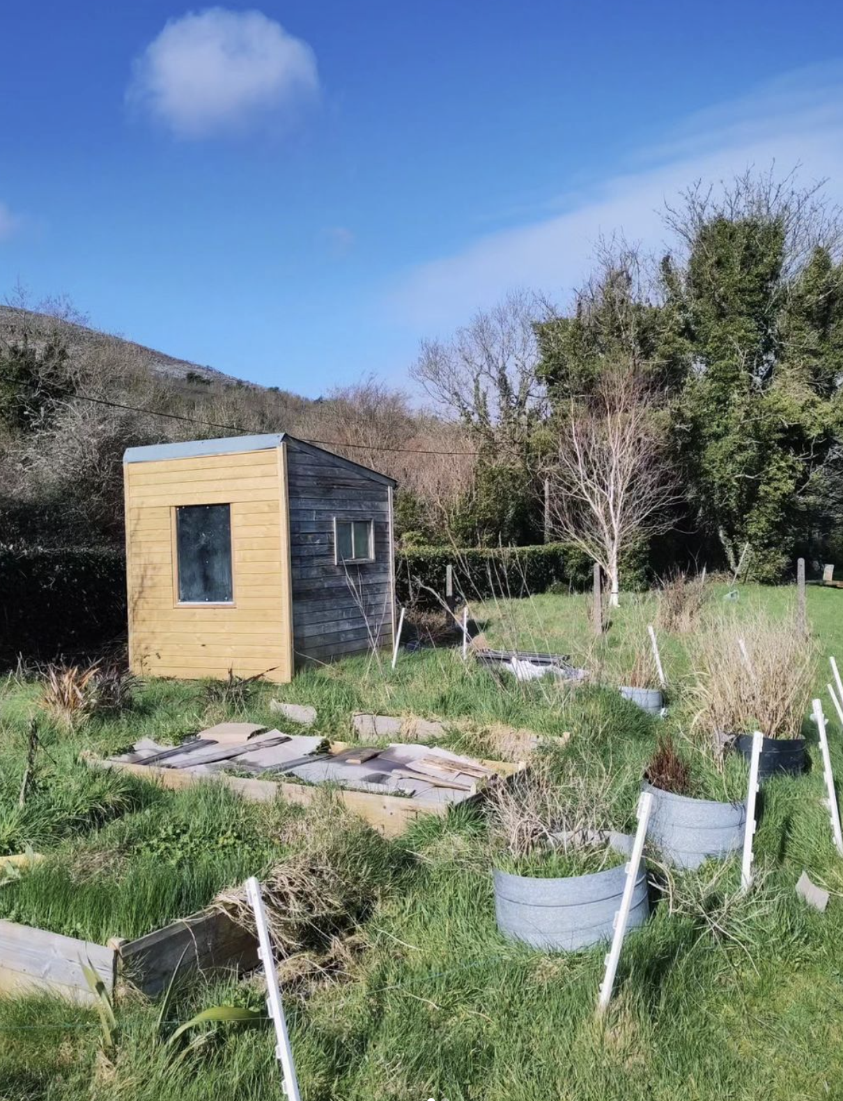 The Burren Dye Garden