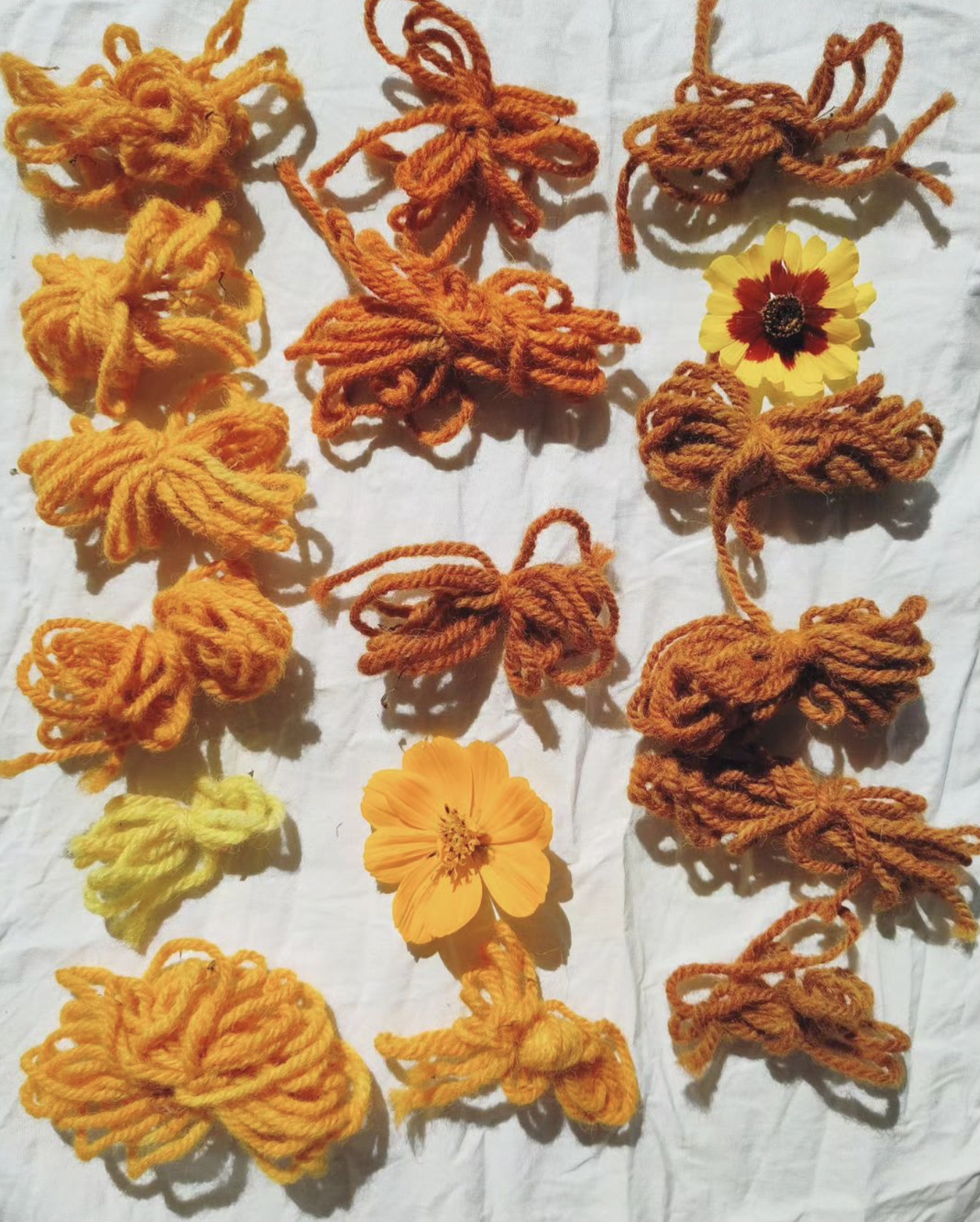 Screenshot 2024-02-04 at 09.24.31.png