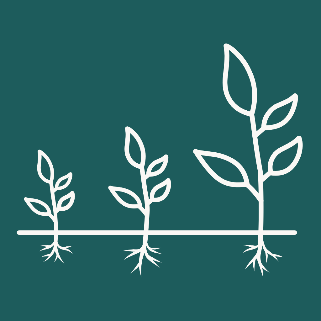 Illustration of plant growth stages showing three plants increasing in size from left to right, with roots visible underground.