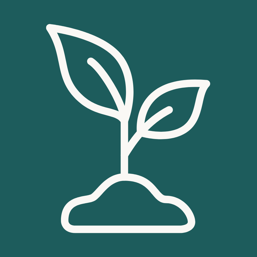 Simple line drawing of a young plant with two leaves growing out of a mound of soil on a dark green background.