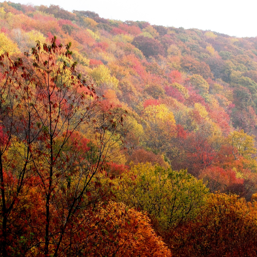 Keweenaw Community Foundation Announces Fall 2024 Grant Recipients