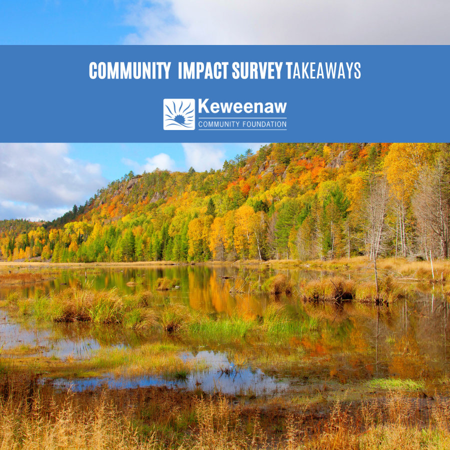 What We Heard: Insights from the 2024 KCF Community Impact Survey