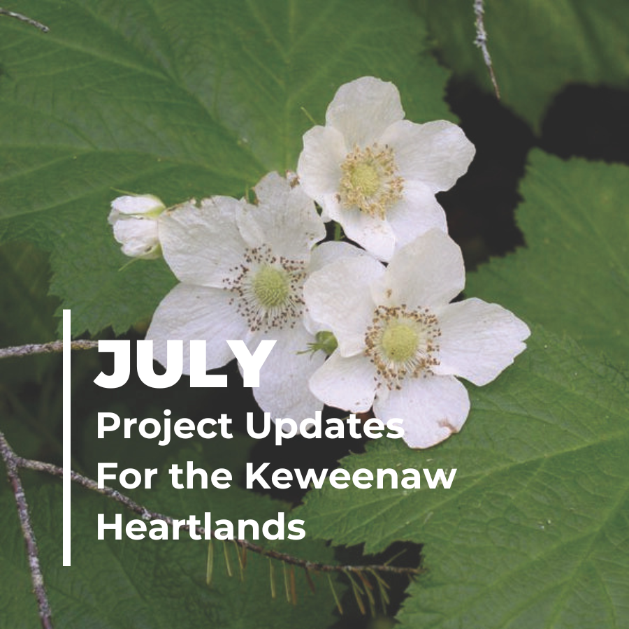 Keweenaw Heartlands – Exciting progress underway!