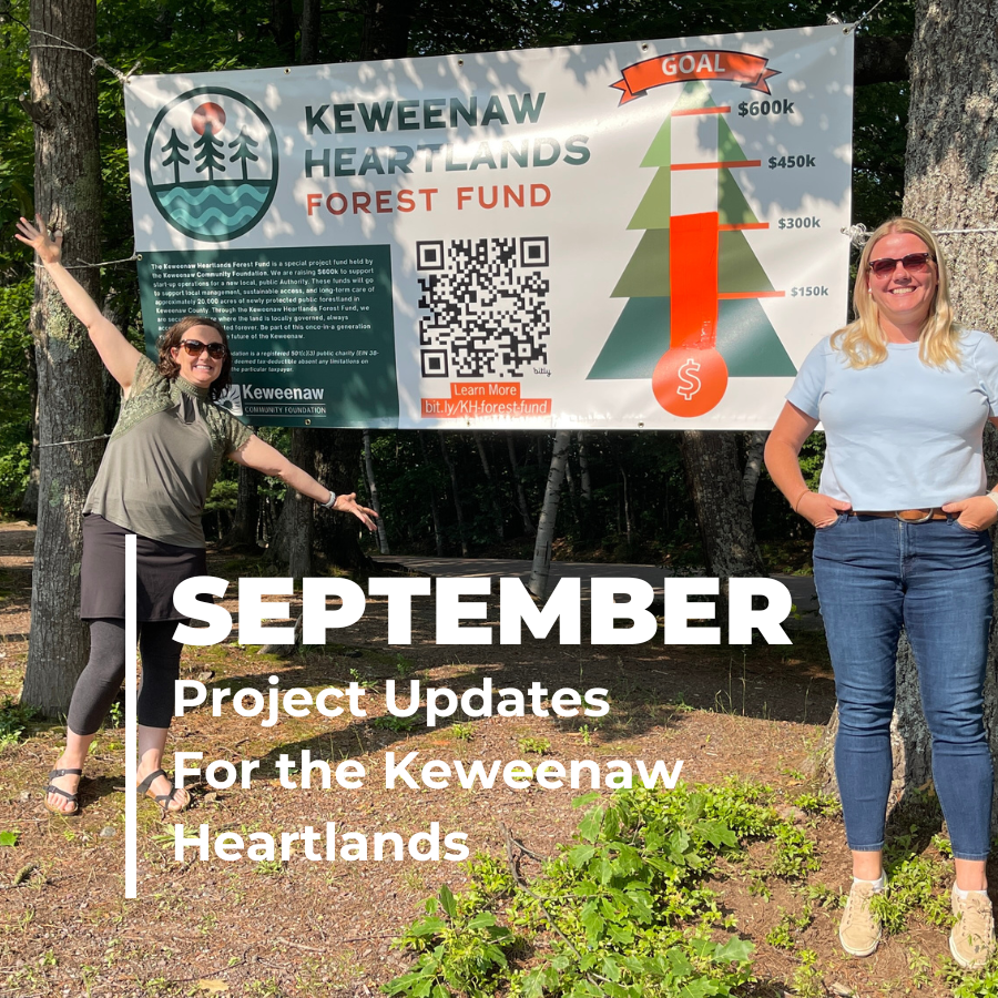 Remind me Again – What’s the Heartlands About?