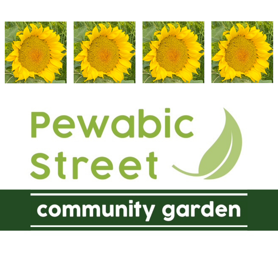 New Endowment Fund to Support Pewabic Street Community Garden’s Green Future