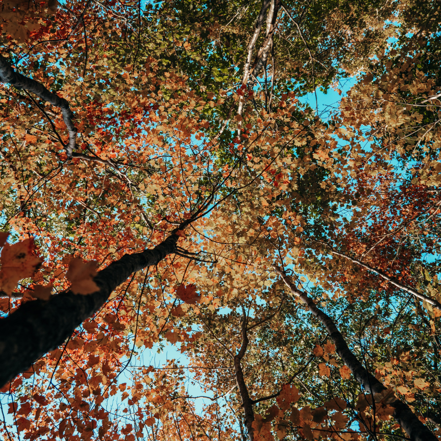 Keweenaw Community Foundation Announces Fall 2025 Grant Recipients