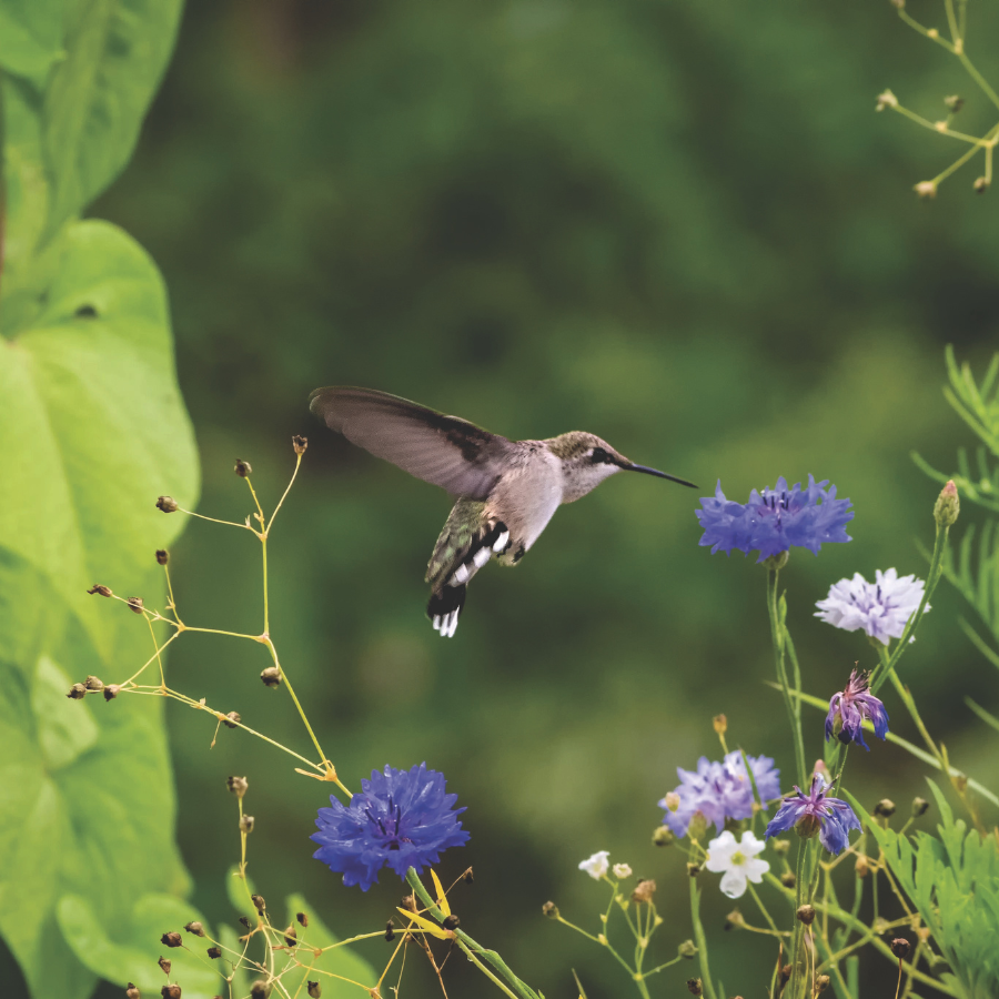 April Keweenaw Heartlands Project Updates