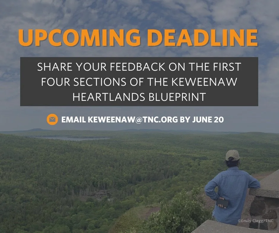 Section 2: Methodology and Stakeholder Participation Process