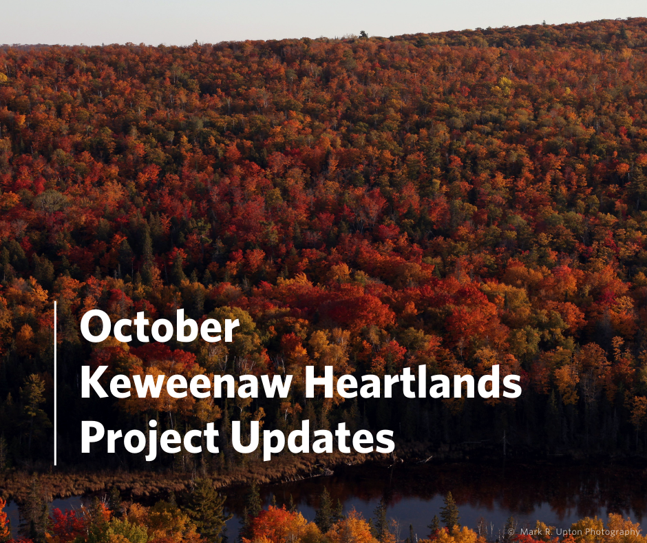 Save the Date: Next Heartlands Update November 12th
