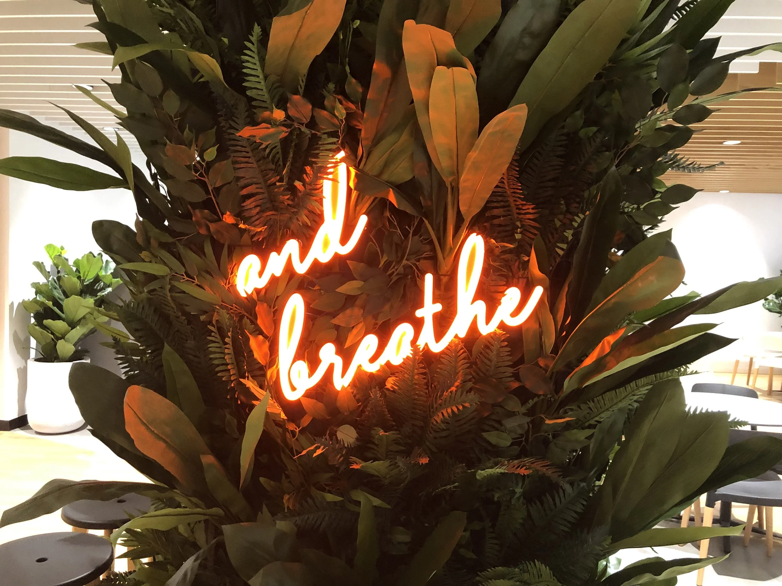 A place to land, gather & take flight