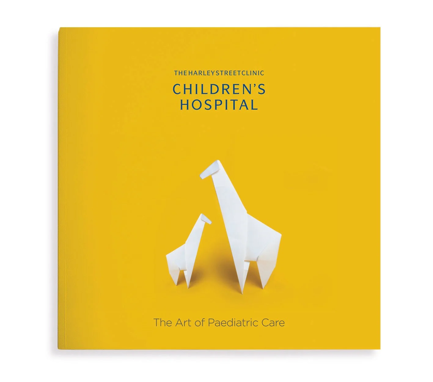 The Art of paediatric care
