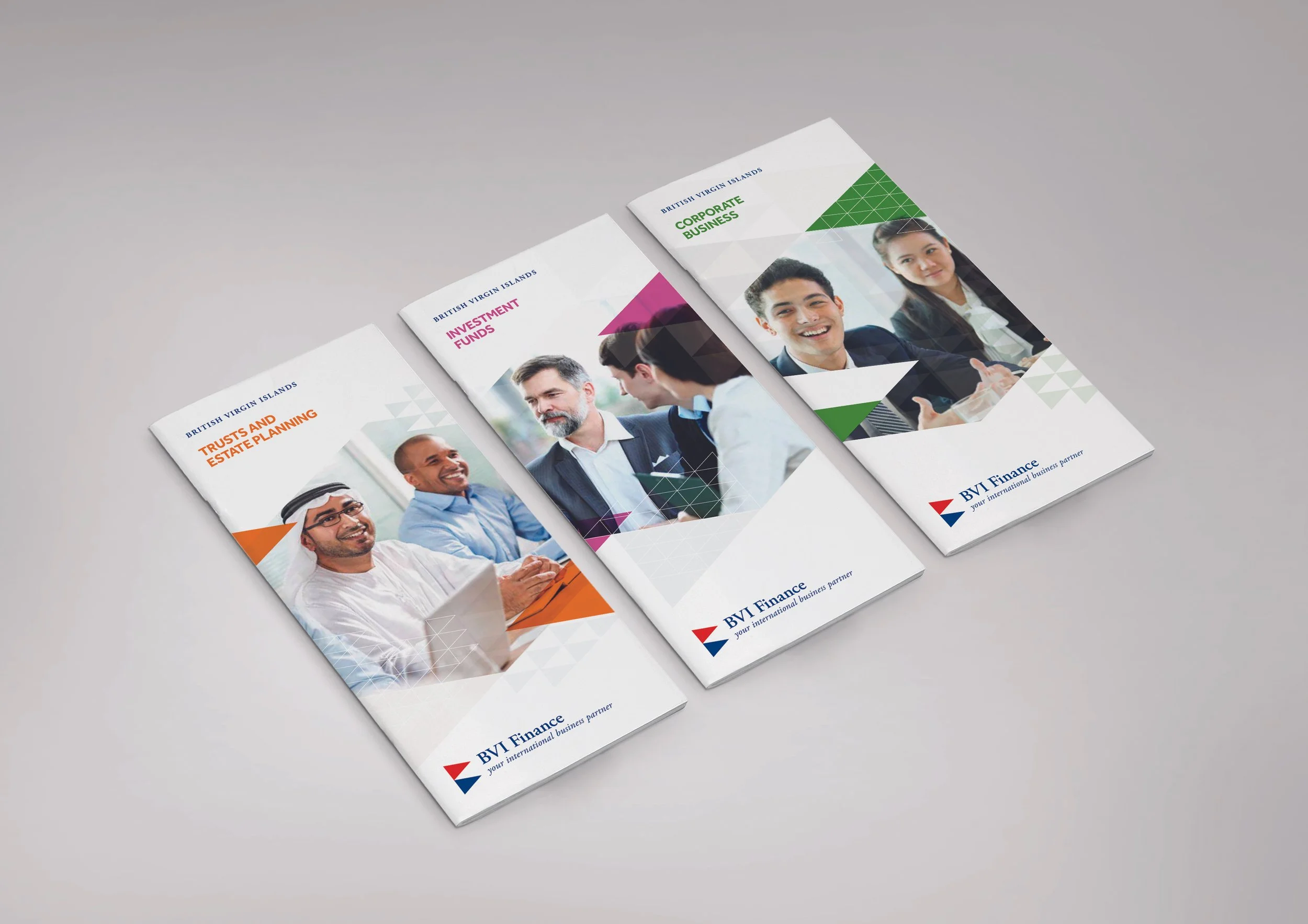 BVI_Brochures2.jpg